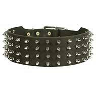 Leather Spiked Siberian Husky Collar for Walking