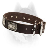 War Leather Siberian Husky Collar with Brass Plates for Everyday Use