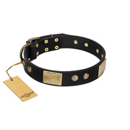 "Antique Gloss" FDT Artisan Black Leather Siberian Husky Collar with Bronze-like Plates and Small Studs