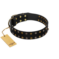 "Star Way" FDT Artisan Black Leather Siberian Husky Collar with Bronze-like and Silver-like Star Studs