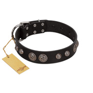 "Tricky Ricky" FDT Artisan Black Leather Siberian Husky Collar Adorned with Silver-Like Conchos