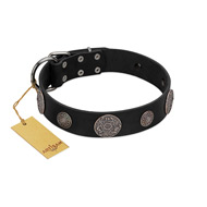 "Ad Infinitum" Durable FDT Artisan Black Leather Siberian Husky Collar with Chrome Plated Brooches