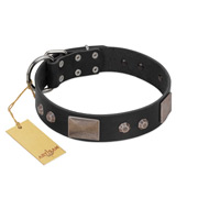 "Square Stars" Modern FDT Artisan Black Leather Siberian Husky Collar with Square Plates and Studs