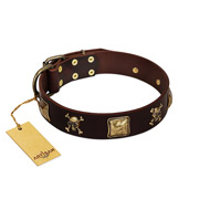 "Crazy Pirate" FDT Artisan Brown Leather Siberian Husky Collar with Old Bronze-Plated Skulls and Plates