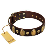 "Retro Pusle" FDT Artisan Brown Leather Siberian Husky Collar with Old Bronze-like Studs and Oval Brooches