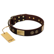 "Bow-Wow Effect" FDT Artisan Brown Leather Siberian Husky Collar with Plates and Ornate Studs