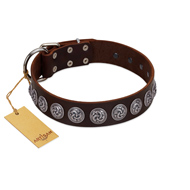 "Charming Circles" FDT Artisan Brown Leather Siberian Husky Collar with Silver-like Studs