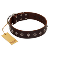 "Boundless Energy" Premium Quality FDT Artisan Brown Designer Leather Siberian Husky Collar with Small Pyramids