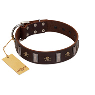 "War Chief" FDT Artisan Genuine Brown Leather Siberian Husky Collar with Skulls and Plates