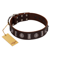 "Spiky Way" FDT Artisan Brown Leather Siberian Husky Collar with Silver-Like Decorations