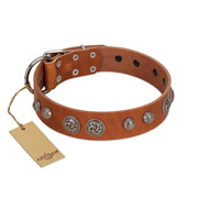 "Era Infinitum" FDT Artisan Tan Leather Siberian Husky Collar Adorned with Chrome-plated Circles