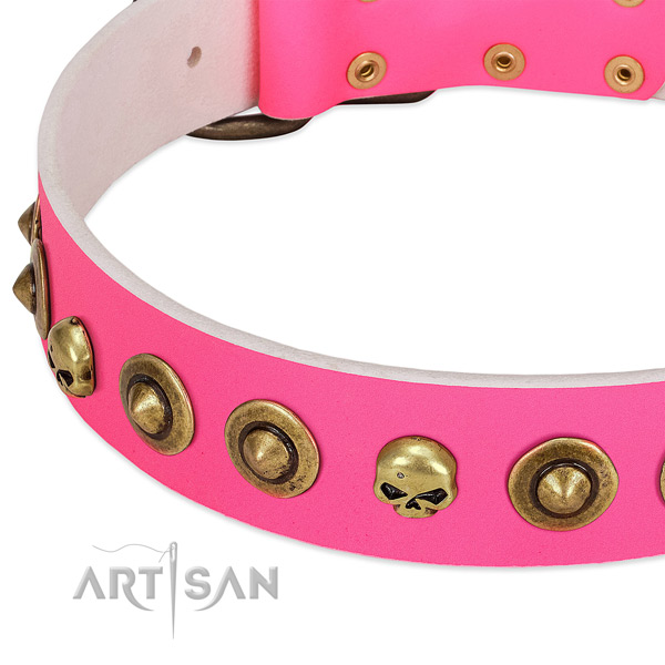 Extraordinary studs on natural leather collar for your dog