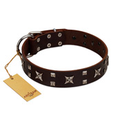 "Bigwig Woof" FDT Artisan Brown Leather Siberian Husky Collar with Chrome Plated Stars and Square Studs