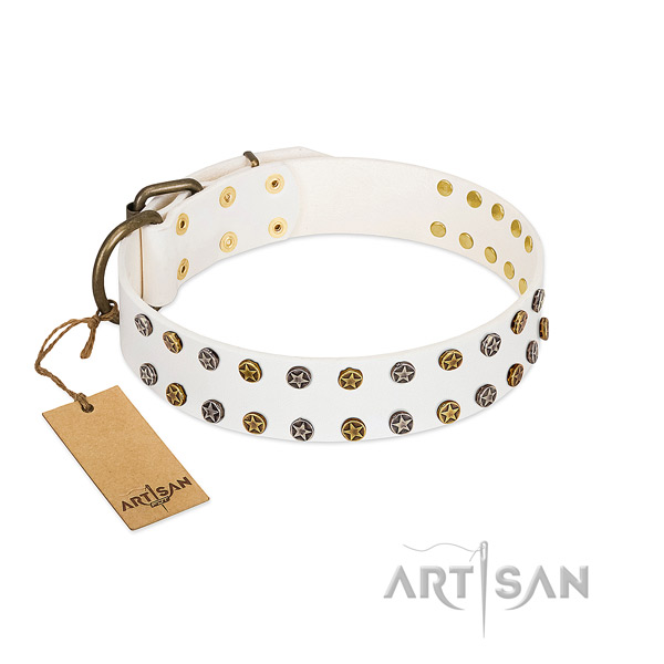 Stunning genuine leather dog collar with reliable embellishments