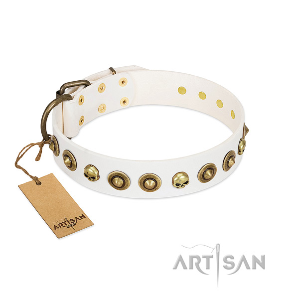 Full grain leather collar with unusual decorations for your doggie