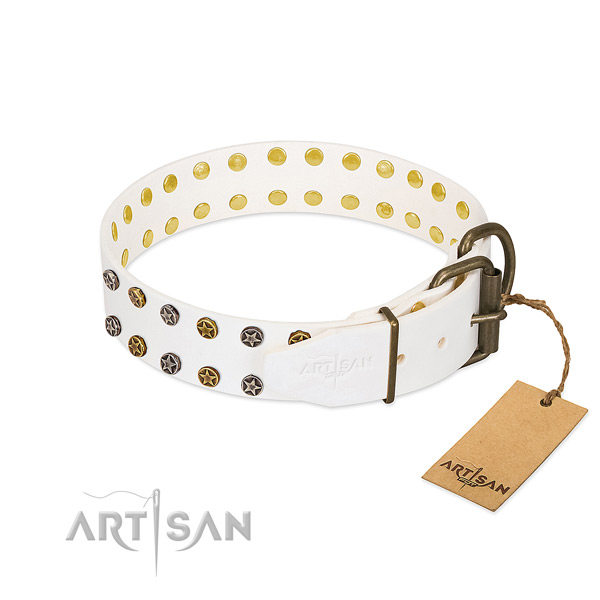Natural leather collar with exceptional embellishments for your pet