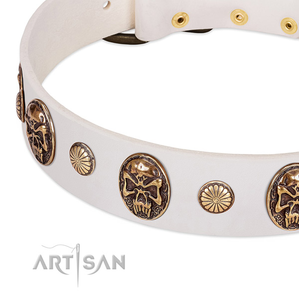 Rust resistant D-ring on full grain leather dog collar for your dog
