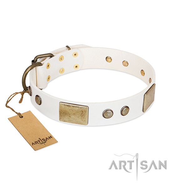 Easy adjustable full grain natural leather dog collar for stylish walking your doggie