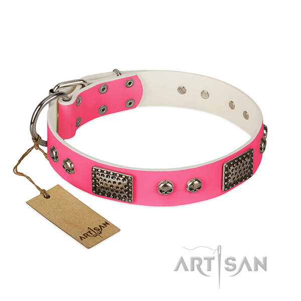 Easy to adjust full grain natural leather dog collar for everyday walking your four-legged friend