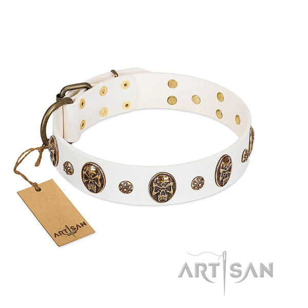 Easy adjustable genuine leather collar for your doggie
