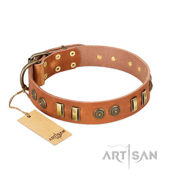 Corrosion resistant adornments on full grain leather dog collar for your canine