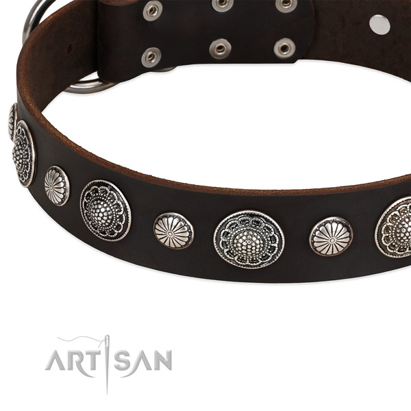 Full grain leather collar with reliable hardware for your stylish four-legged friend