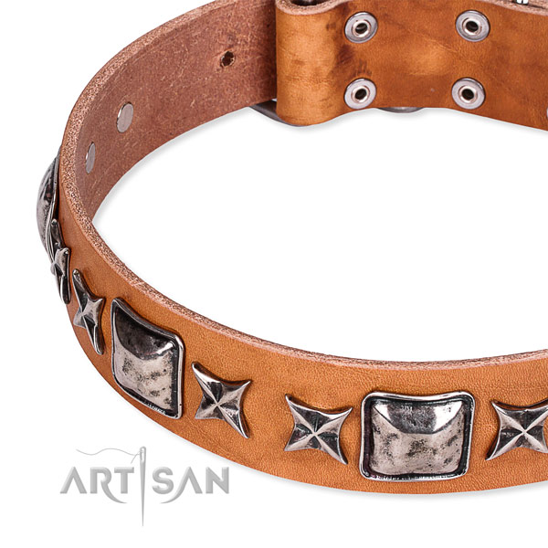 Handy use embellished dog collar of quality full grain natural leather