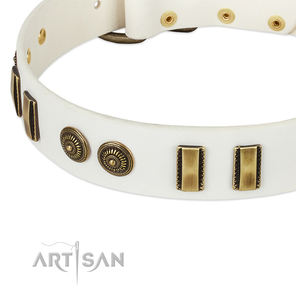 Durable embellishments on full grain genuine leather dog collar for your pet