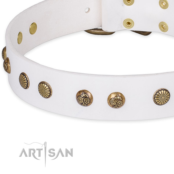 Genuine leather collar with rust-proof D-ring for your beautiful canine