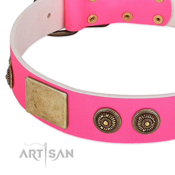 Incredible dog collar handcrafted for your impressive dog