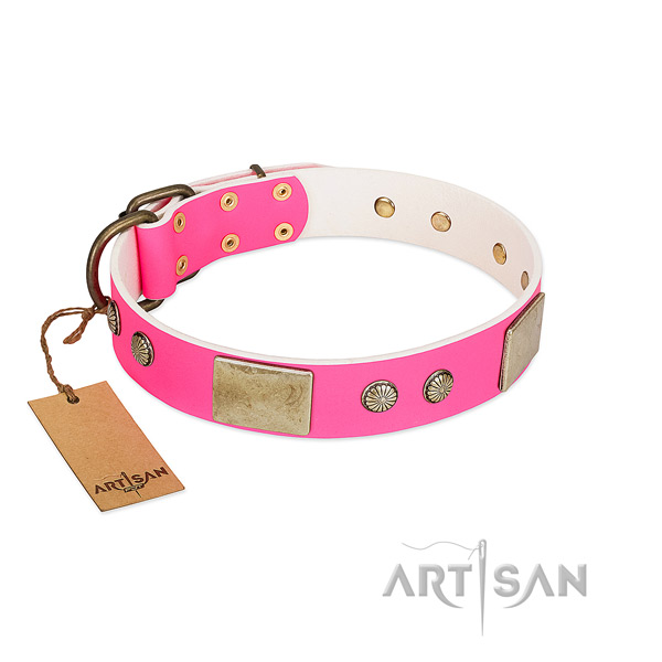 Easy adjustable full grain genuine leather dog collar for basic training your dog