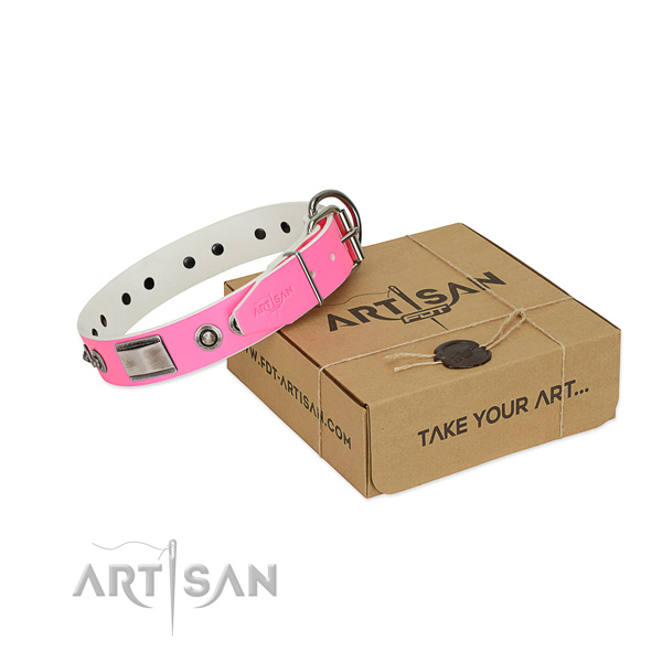 Amazing full grain natural leather collar with adornments for your dog