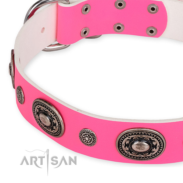 Natural genuine leather dog collar with amazing reliable embellishments