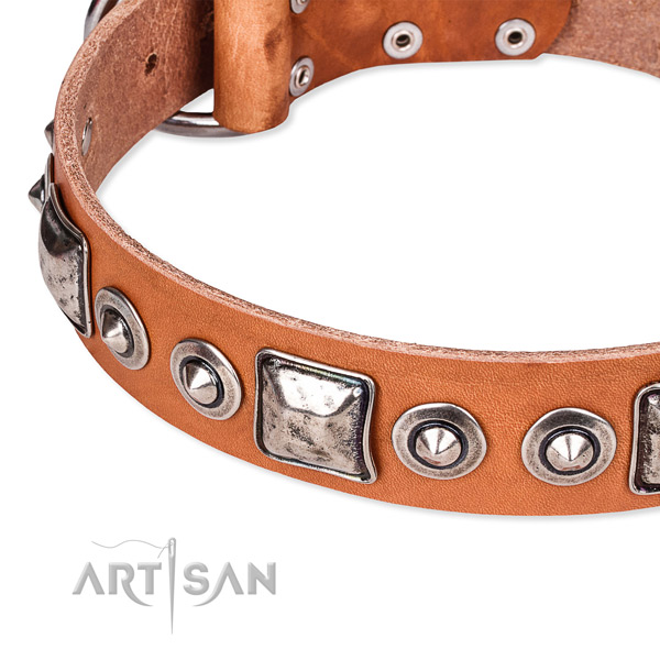 Top notch genuine leather dog collar handmade for your handsome doggie