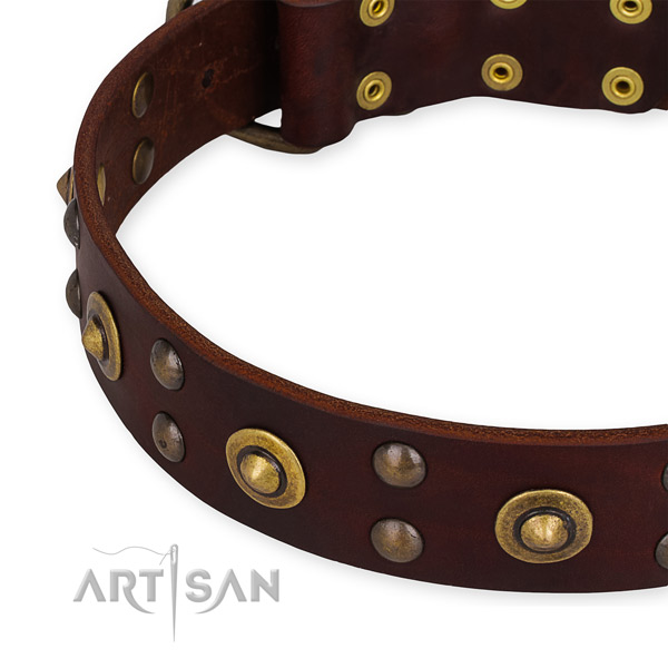 Leather collar with corrosion proof buckle for your beautiful doggie