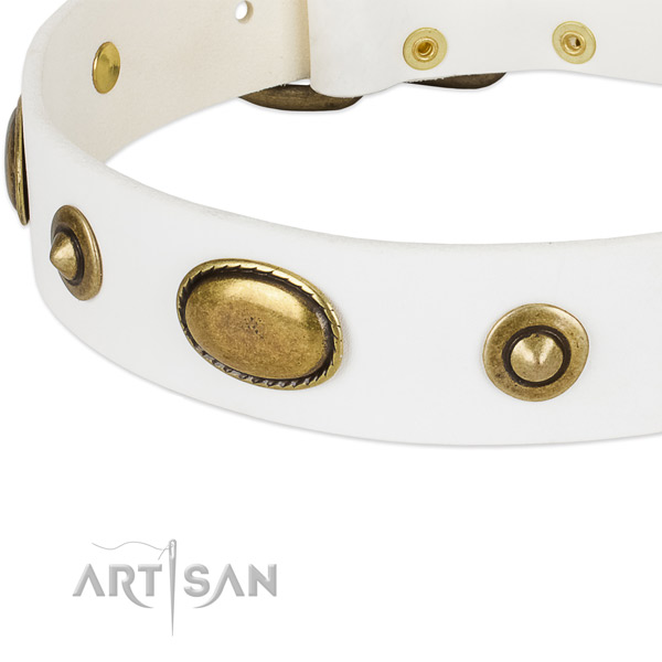 Rust resistant studs on leather dog collar for your four-legged friend