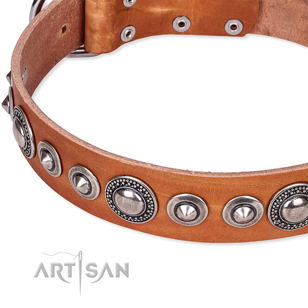 Fancy walking adorned dog collar of reliable full grain genuine leather