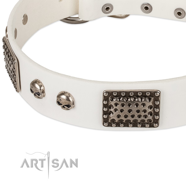 Strong buckle on full grain leather dog collar for your pet