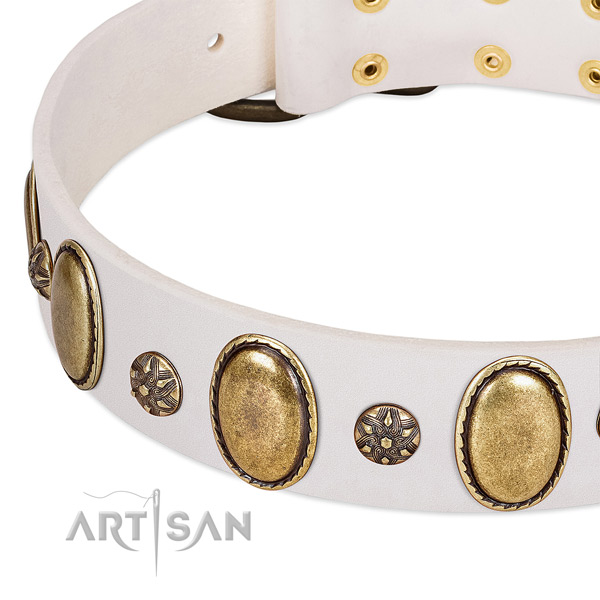 Walking quality leather dog collar