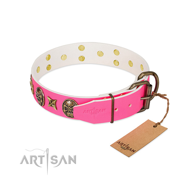 Strong traditional buckle on leather collar for everyday walking your pet