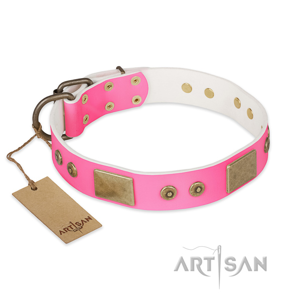 Exquisite natural genuine leather dog collar for daily use