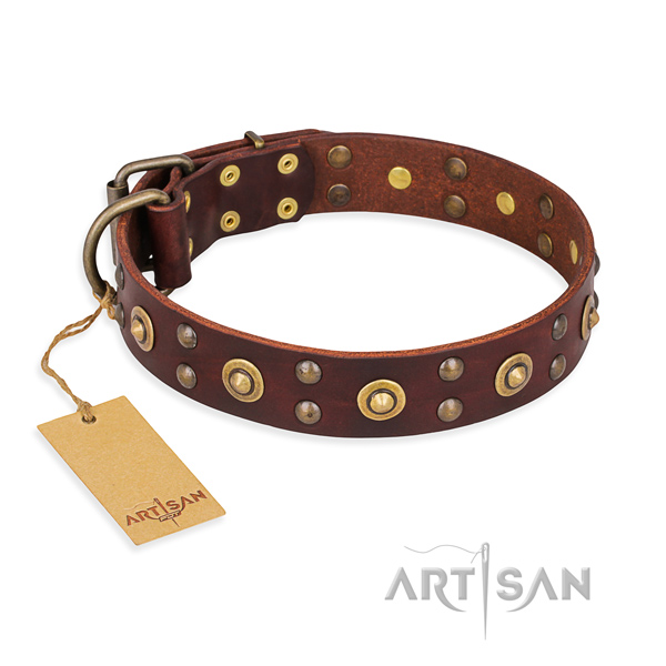 Remarkable genuine leather dog collar with strong traditional buckle