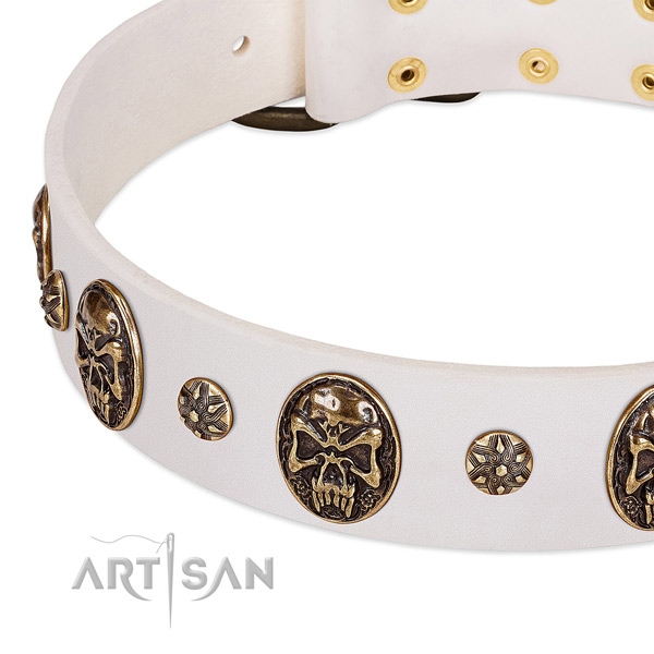 Reliable embellishments on leather dog collar for your four-legged friend