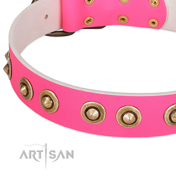 Rust resistant fittings on leather dog collar for your doggie