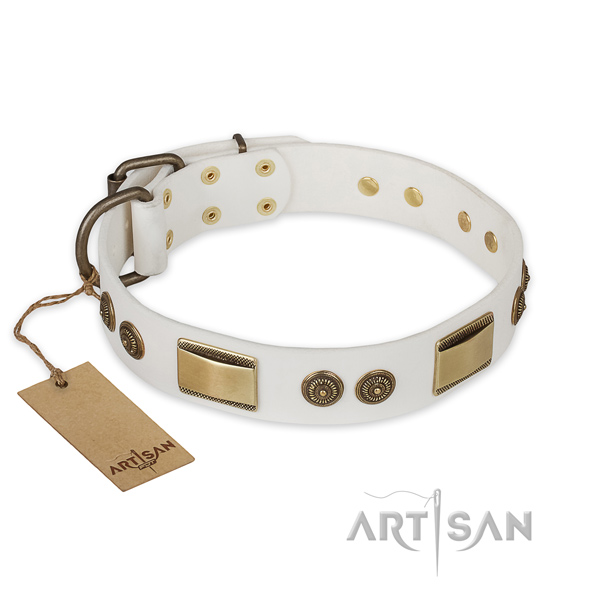 Decorated leather dog collar for daily walking