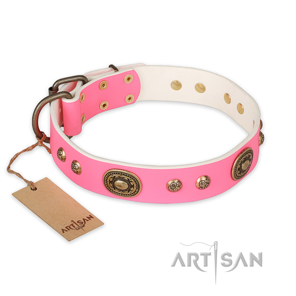 Comfortable full grain natural leather dog collar for stylish walking