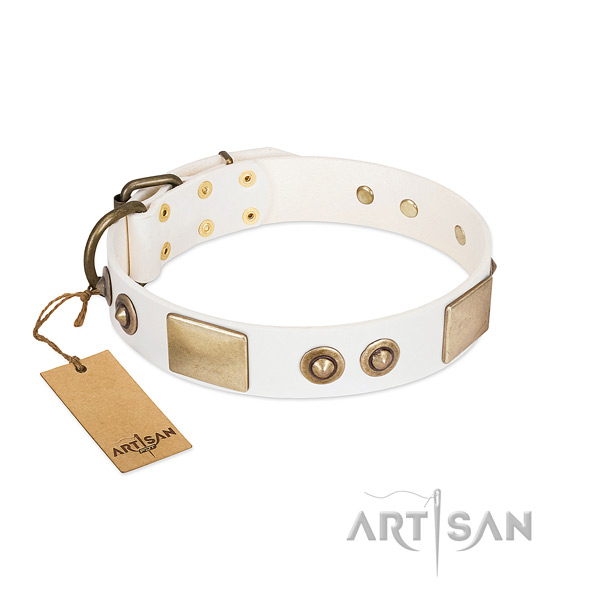 Durable traditional buckle on full grain genuine leather dog collar for your doggie