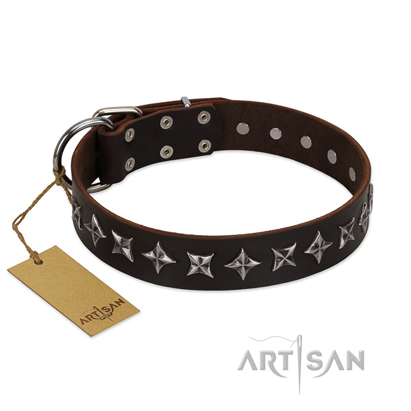 Comfortable wearing dog collar of finest quality full grain natural leather with decorations