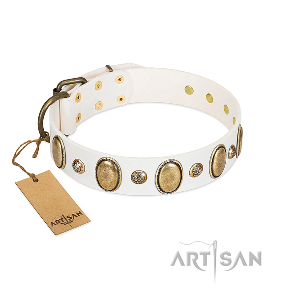 Leather dog collar of high quality material with stylish design studs