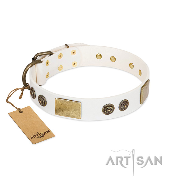Exquisite full grain genuine leather dog collar for everyday use